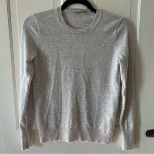 100% Cashmere Gray Everlane Crewneck